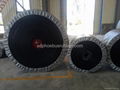 Nylon Conveyor Belt China Manufacturer 3