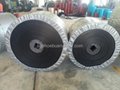 Nylon Conveyor Belt China Manufacturer 4