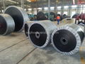 Nylon Conveyor Belt China Manufacturer 5