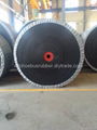 Leading Manufacturer of EP Conveyor Belt In China 2