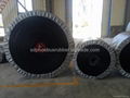 Leading Manufacturer of EP Conveyor Belt In China 5