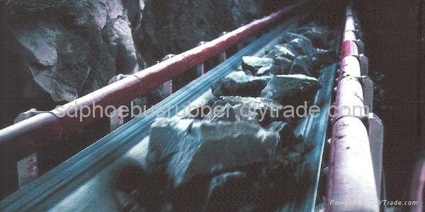 Steel Cord Conveyor Belt for Mining Industry 2