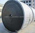 Competitive Cold Resistant Conveyor Belt China Manufacturer 2