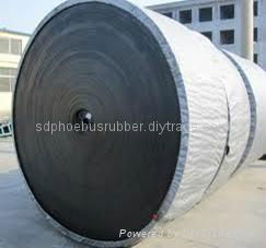 Competitive Cold Resistant Conveyor Belt China Manufacturer 2