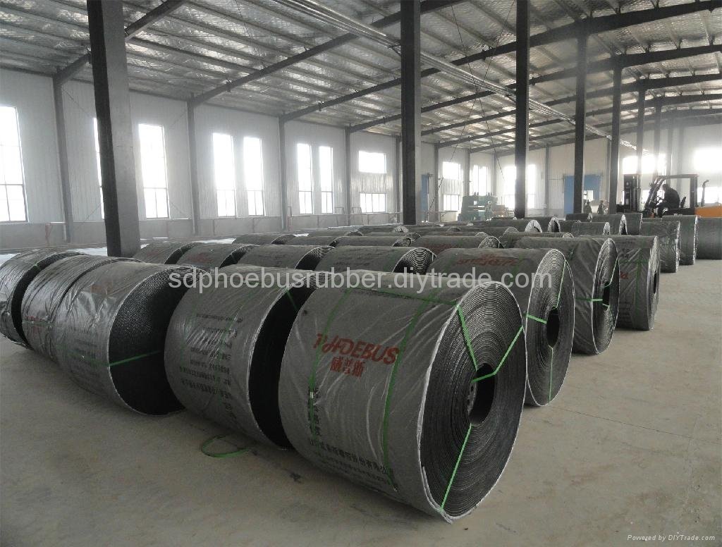 Competitive Cold Resistant Conveyor Belt China Manufacturer 3