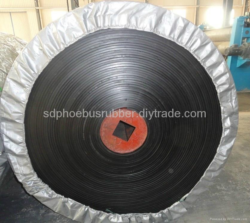 Competitive Cold Resistant Conveyor Belt China Manufacturer 4