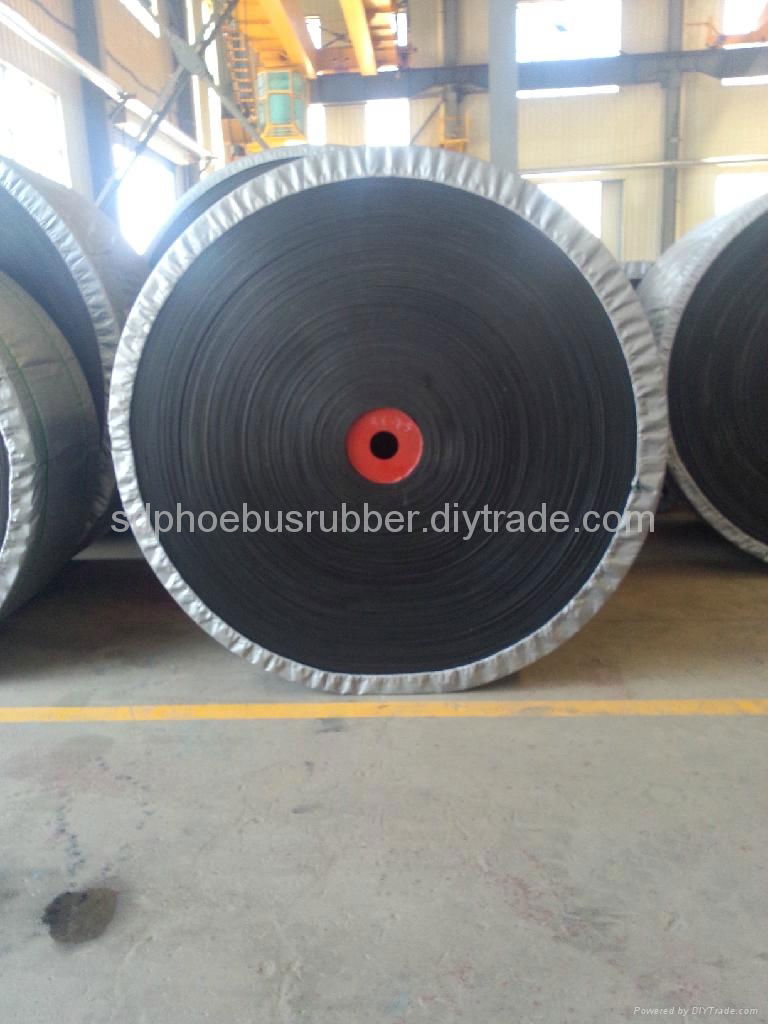Competitive Cold Resistant Conveyor Belt China Manufacturer 5