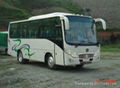 Cheap city bus/30 seats bus for sale 2