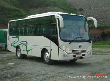 Cheap city bus/30 seats bus for sale 2