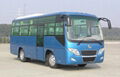 Cheap city bus/30 seats bus for sale 3