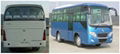 Cheap city bus/30 seats bus for sale 4