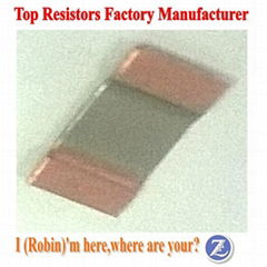 Shunt Resistors 