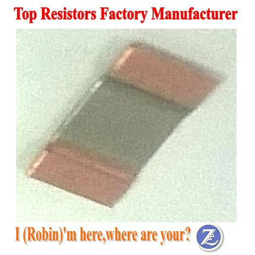 Shunt Resistors 