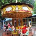 small carousel for kids 