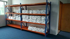 Long Span Shelving