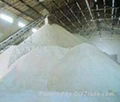 WHITE SUGAR ICUMSA 45 2