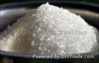 BEST QUALITY GRADE A REFINED SUGAR ICUMSA 45