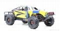 RC petrol car 206FT (Proportion 1:5)