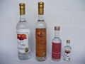 PISCO-PERUVIAN BRANDY GRAPE