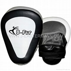 Focus Pad Curved or Punching Mitts. 