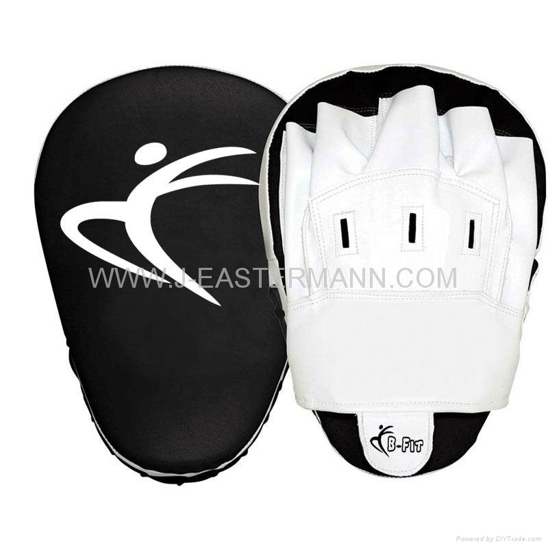Focus Pad Curved or Punching Mitts.  2
