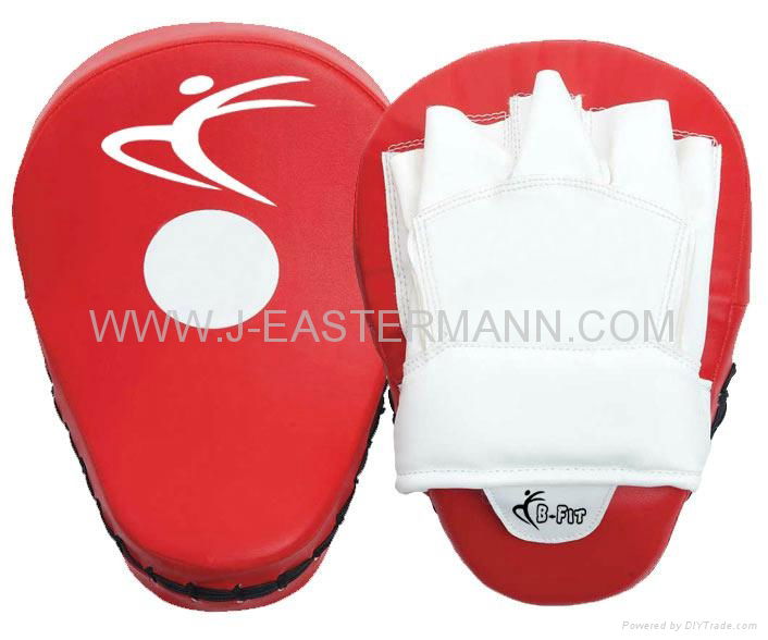 Focus Pad Curved or Punching Mitts.  4