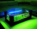 Aquariums Table Series 1