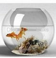 Round Glass Fish Tank 1