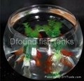 Round Glass Fish Tank 4