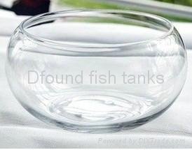 Round Glass Fish Tank 5