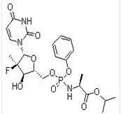 sofosbuvir