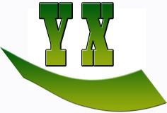 SHANGHAI YI XING CO., LTD