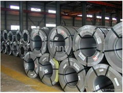 Hot Dipped Galvanized Steel Coil