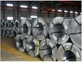 Cold Rolled Steel Coils  3
