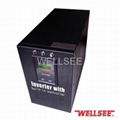 CE Wellsee 2000W solar inverter with