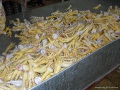 Unprocessed Frozen Chicken Feet 