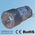 high torque Micro Motor 1