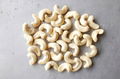 Cashew nut, Raw cashew nut, CNSL Oil 2