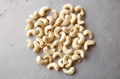 Cashew nut, Raw cashew nut, CNSL Oil 4