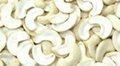 Cashew nut, Raw cashew nut, CNSL Oil 5