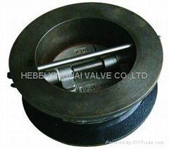 Wafer Check valves