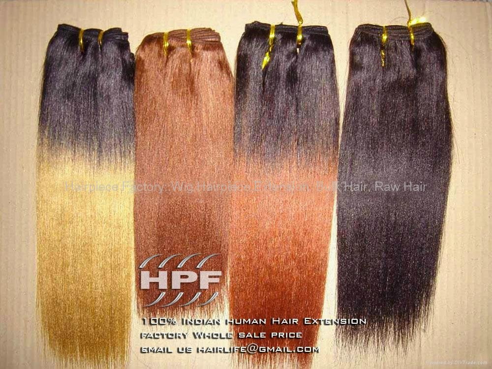 Indian Human Hair Extensions 2