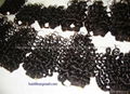 Curly Machine Weft 1