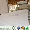 PVC Gypsum Ceiling Tiles 2