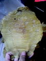 BEST FISH MAW 1