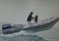 Rigid inflatable boat rib rib boat Hypalon rigid Boat