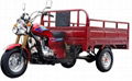 tricycle 3 wheeler 3 wheel motorcycle three Wheeler auto rickshaw13 1