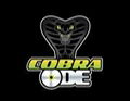 Cobra ODE Optical Drive Emulator For PS3 & PS3 Slim