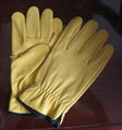 Yellow cowhide gloves 1