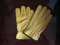 Yellow cowhide gloves 1